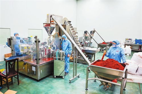 隴右名城熱潮涌動 從田間到舌尖，天水麻辣燙火爆出圈的“初級農(nóng)產(chǎn)品”密碼